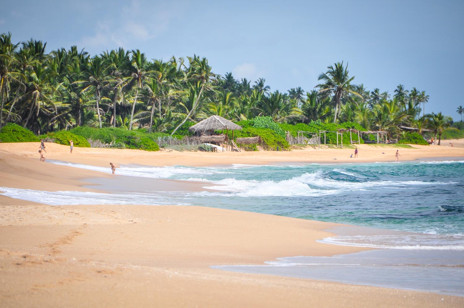 Sri lanka forex forum