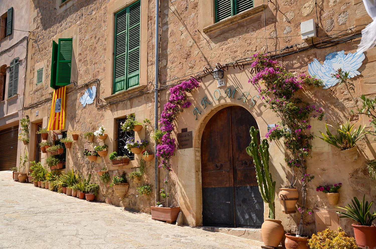 Forum Mallorca Forum Mallorca